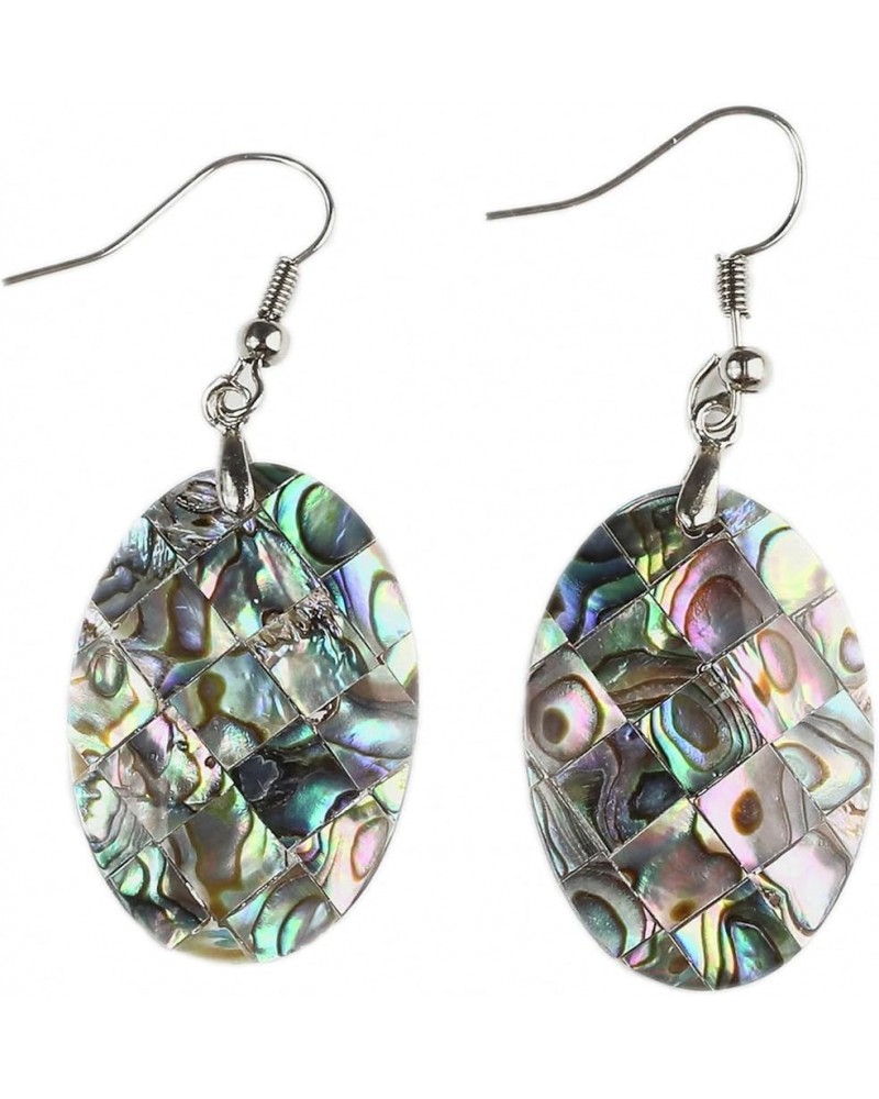 Iridescent Natural Abalone Shell Teardrop-Shaped Dangling Hook Earrings for Women New Zealand Olivary Paua Shell Drop Dangle ...