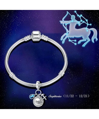 12 Zodiac Sign Charm Teardrop Birthstone Bead for Pandora Bracelet Birthday Gift Sagittarius $7.79 Bracelets