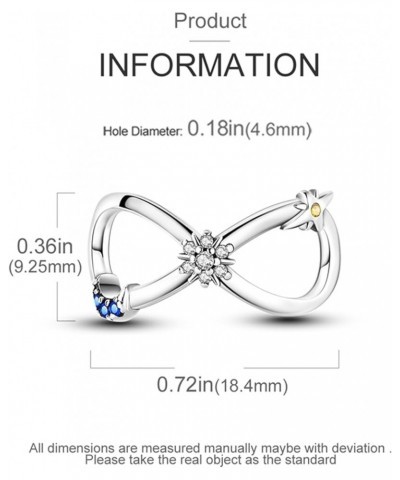 925 Sterling Silver Charms for Bracelets Necklace European Jewelry Pendant Beads Charm Birthday Gift for Women Girls Mom Daug...