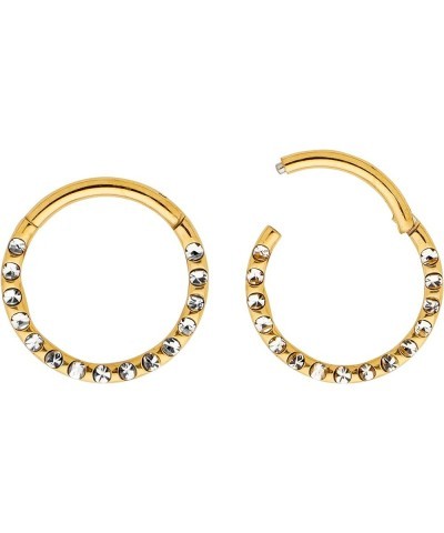 G23 Titanium 16G 6mm - 10mmGem Hinged Hoop Segment Nose Ring Helix Tragus Septum Unisex Earring Body Piercing Jewelry 2pcs 8m...