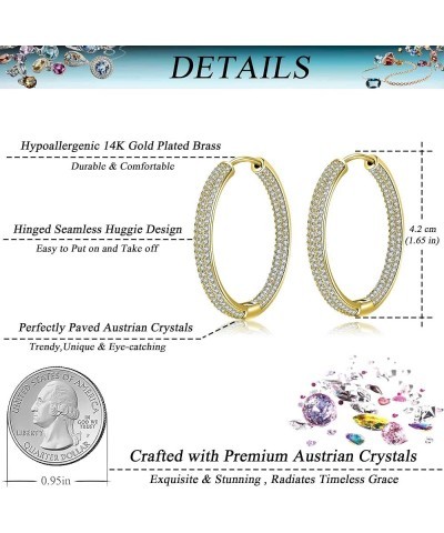 Sparkly Austrian Crystal Hinged Hoop Earrings for Women 14K Gold Plated Hypoallergenic Jewelry Gifts for Women White/Gold-ton...