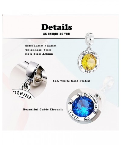 Jan-Dec Birthstone Charms for Bracelets Happy Birthday Bead Charm for Women Girls Gifts Cute CZ Round January $6.93 Bracelets