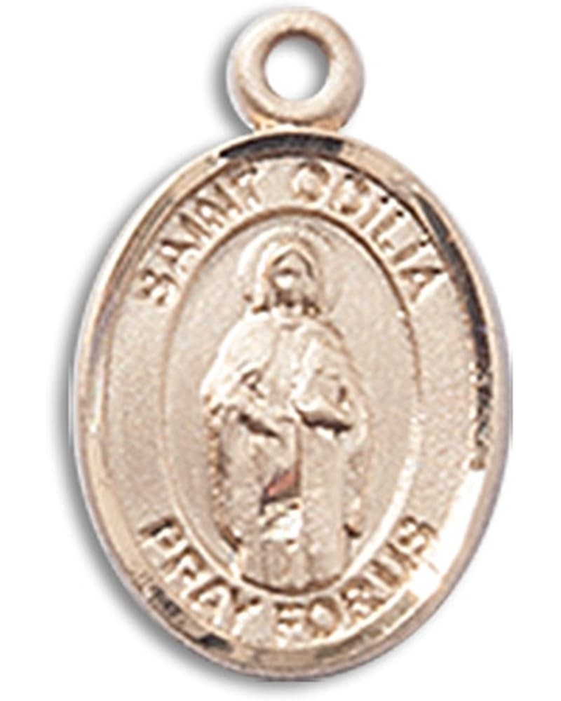 14 Karat Gold Catholic Patron Saint Medal Petite Charm Pendant, 1/2 Inch Saint Odilia $100.58 Pendants