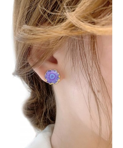 Women's Natural Agate Quartz Geode Druzy Stud Earrings for Women Agate Stone Purple $10.96 Earrings