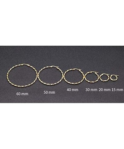 Titanium Steel Hoop Earring Set for Women, Girls, Multiple Styles, Color and Sizes Twst-30mm $12.31 Earrings