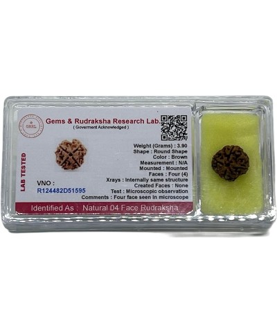 AwakenYourKundalini's Natural Rudraksha Beads (1,2,3,4,5,6,7,8,9,10,11,12,13,14 Faced) Original Rudraksha Beads Himalayan Ori...