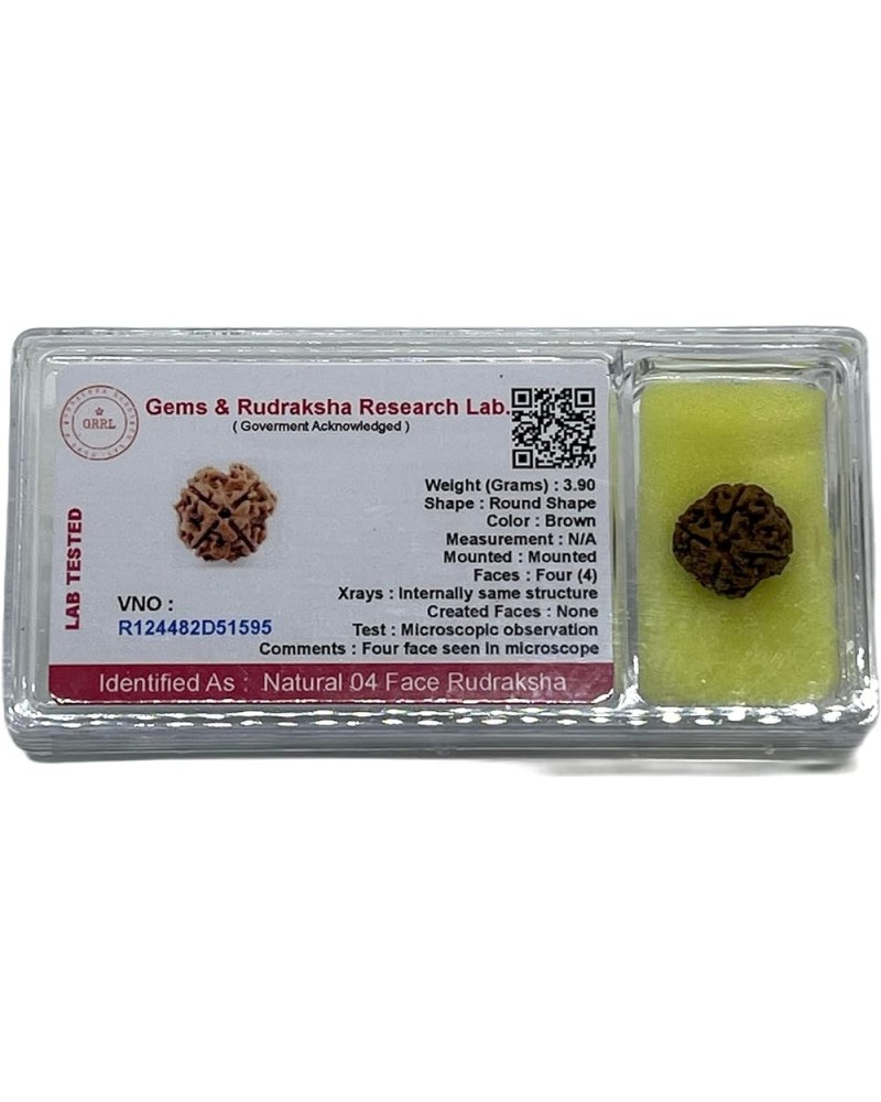 AwakenYourKundalini's Natural Rudraksha Beads (1,2,3,4,5,6,7,8,9,10,11,12,13,14 Faced) Original Rudraksha Beads Himalayan Ori...