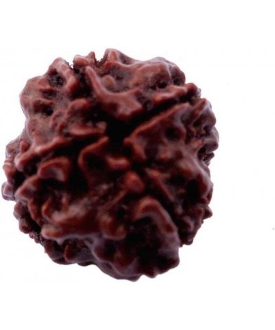 AwakenYourKundalini's Natural Rudraksha Beads (1,2,3,4,5,6,7,8,9,10,11,12,13,14 Faced) Original Rudraksha Beads Himalayan Ori...