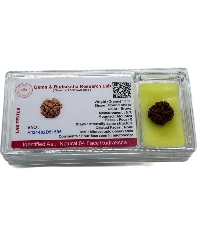 AwakenYourKundalini's Natural Rudraksha Beads (1,2,3,4,5,6,7,8,9,10,11,12,13,14 Faced) Original Rudraksha Beads Himalayan Ori...