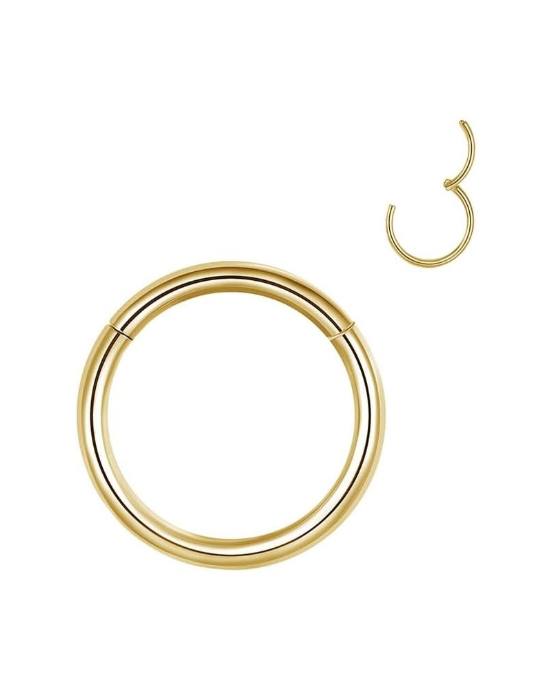 Earrings for Women，316 Stainless Steel Hoops Cartilage Hoop Nose Rings Earring Lip Ring 18/20g Diameter 6mm to 8mm 7mm(0.28in...